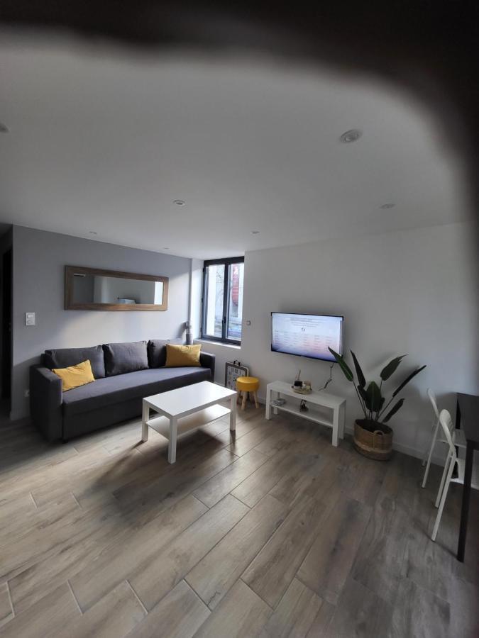 Appartement Entierement Renove A Neuf 101 แซงต์-เอเตียน ภายนอก รูปภาพ